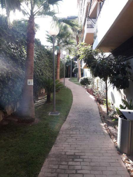 Apartament Mi Casa Es Tu Casa Gandia Zewnętrze zdjęcie